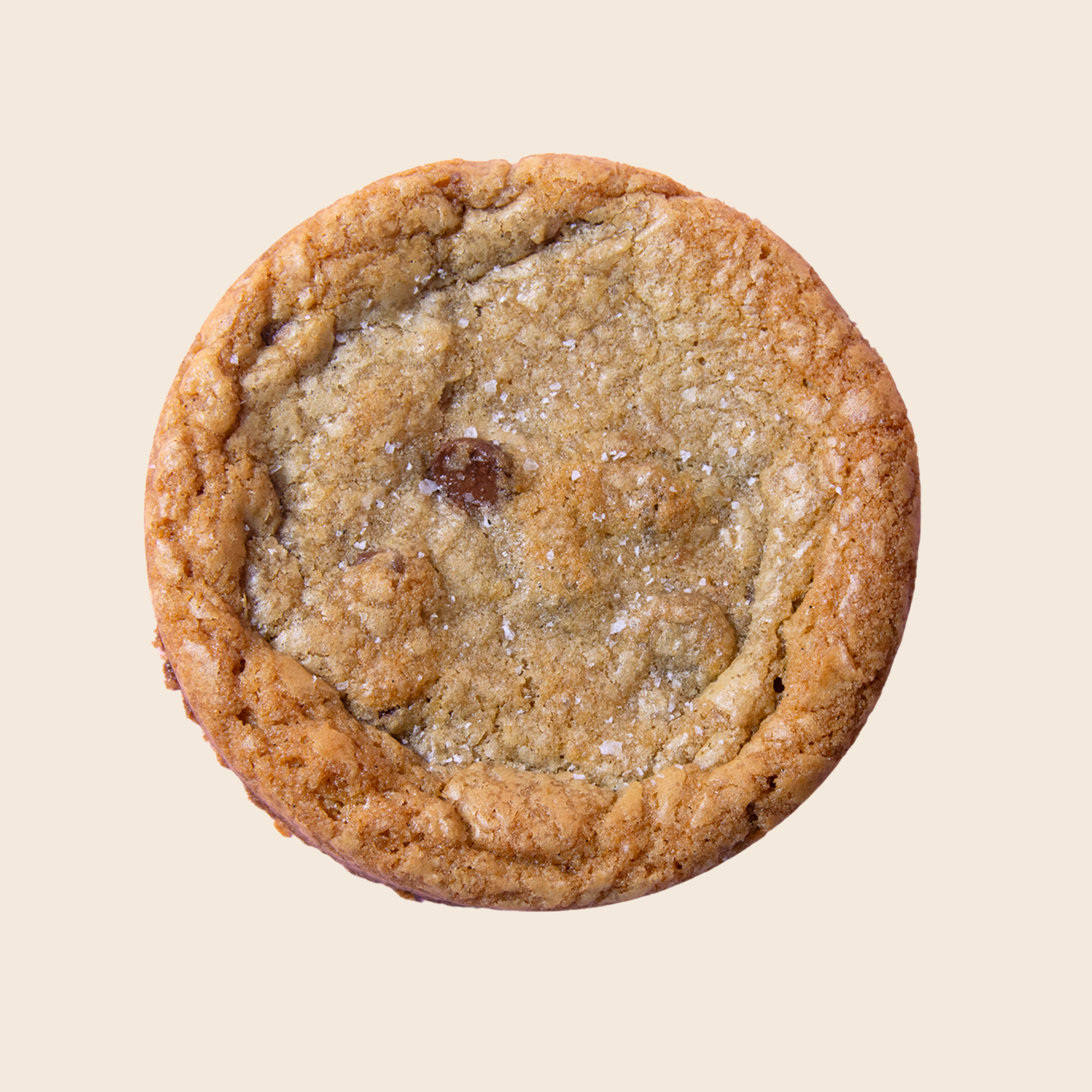 gourmet chocolate chip cookie on a beige background